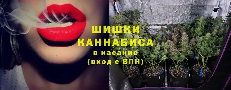 Конопля White Widow  купить наркотики цена  mega зеркало  Тосно 